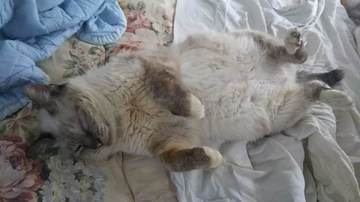 DSC_0005-thumbnail2.jfif