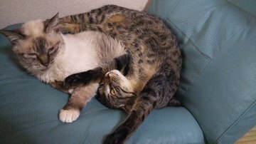 DSC_0458-thumbnail2.jfif