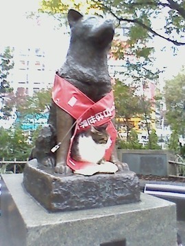 K0030131-thumbnail2.jfif